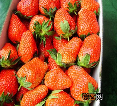 朝盐晚蜜:并不适合任何人