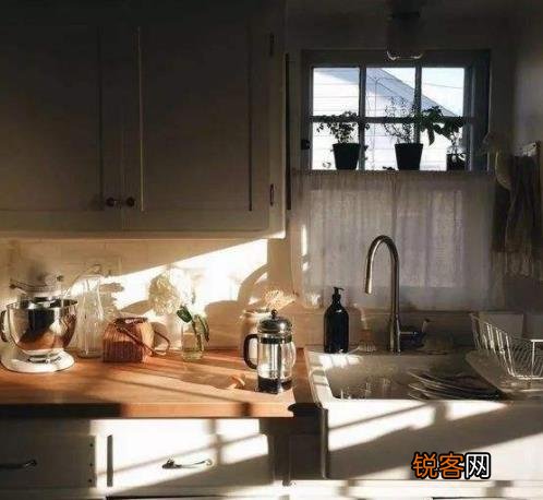 家里蟑螂多怎么办 居家消灭蟑螂有妙招