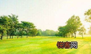 城市郊区化和逆城市化有什么区别和联系 城市郊区化和逆城市化的区别联系说明