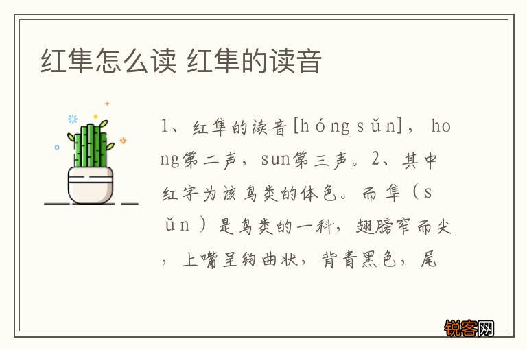 红隼怎么读 红隼的读音