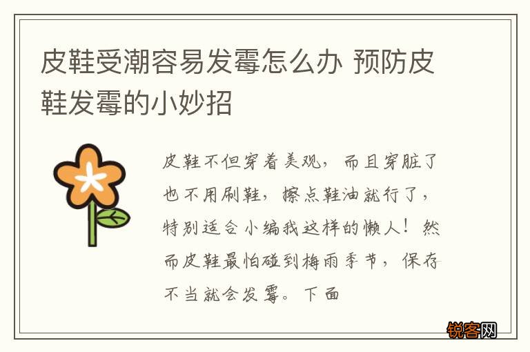 皮鞋受潮容易发霉怎么办 预防皮鞋发霉的小妙招