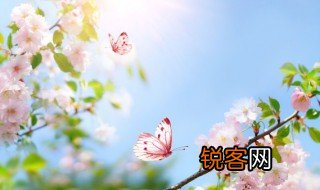 春天给人的感受是什么 春天给人的感受都是什么