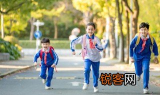 小学生素质报告书 小学生素质报告书怎么写