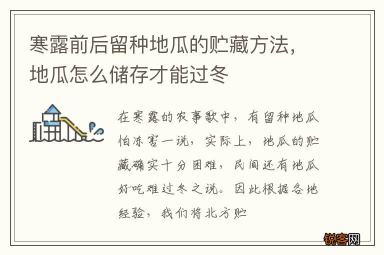 寒露前后留种地瓜的贮藏方法，地瓜怎么储存才能过冬