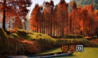 红树林在中国分布的最北地带是哪里 红树林在中国分布的最北地带是什么地方