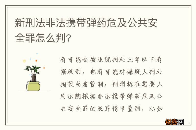 新刑法非法携带弹药危及公共安全罪怎么判?