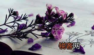 滴水穿石是成语吗 滴水穿石是不是成语