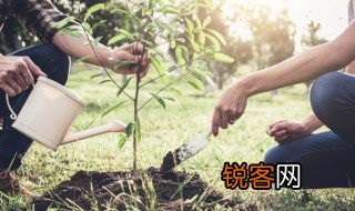 保护环境怎么做 怎么保护环境