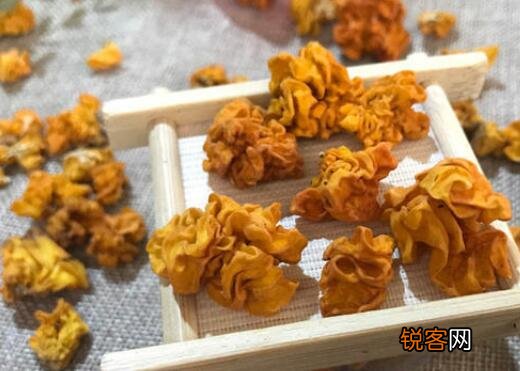 金子木耳的功效与作用及食用禁忌