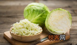 cabbage怎么读 cabbage的意思