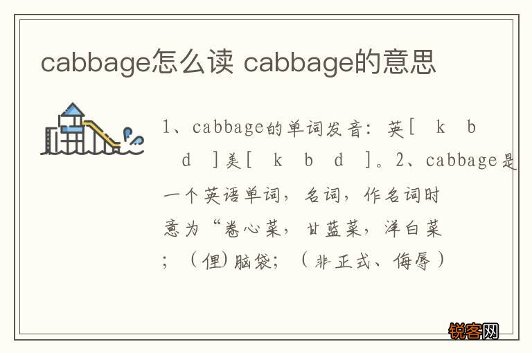 cabbage怎么读 cabbage的意思