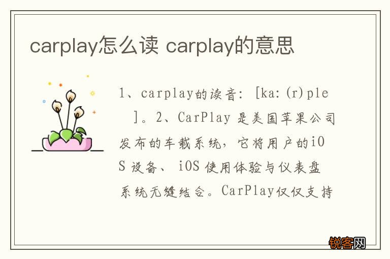 carplay怎么读 carplay的意思