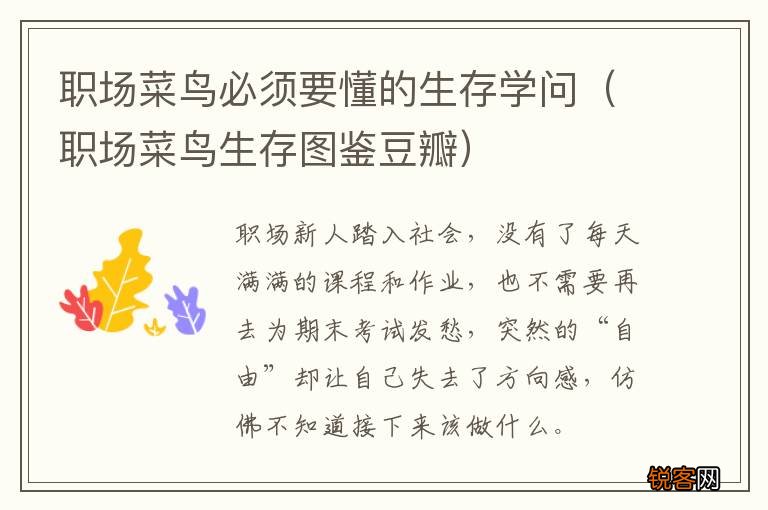 职场菜鸟生存图鉴豆瓣 职场菜鸟必须要懂的生存学问