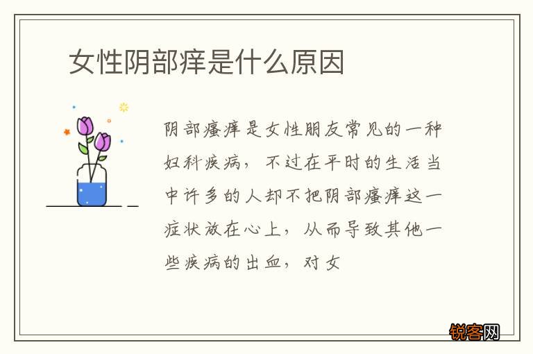 ?女性阴部痒是什么原因