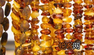 在文章琥珀里琥珀是什么意思 在文章琥珀里琥珀解释