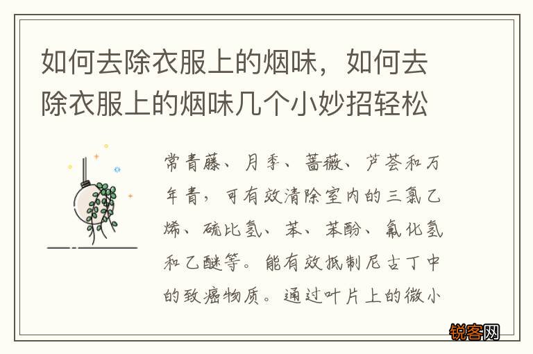 如何去除衣服上的烟味，如何去除衣服上的烟味几个小妙招轻松应对