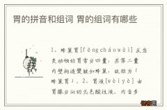 胃的拼音和组词 胃的组词有哪些