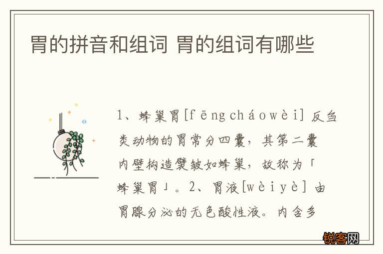 胃的拼音和组词 胃的组词有哪些