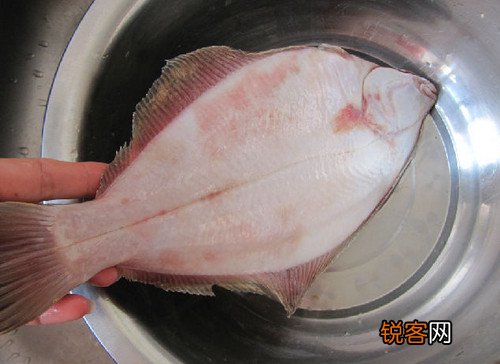 清蒸比目鱼