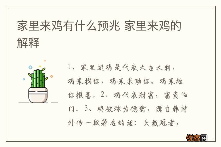 家里来鸡有什么预兆 家里来鸡的解释