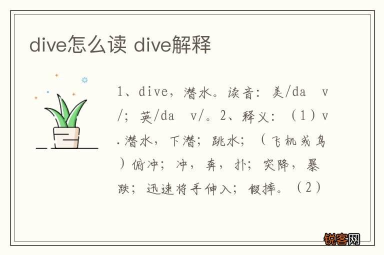 dive怎么读 dive解释