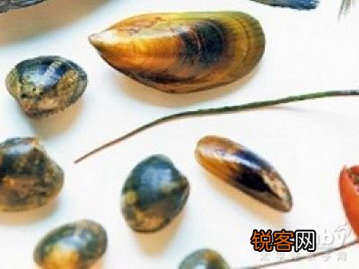 吉祥干贝