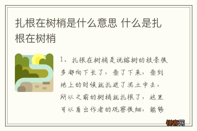 扎根在树梢是什么意思 什么是扎根在树梢
