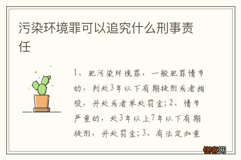 污染环境罪可以追究什么刑事责任