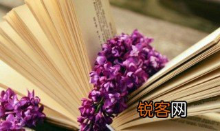 请的组词 请怎么组词