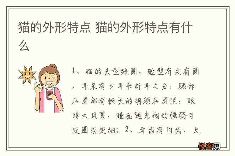 猫的外形特点 猫的外形特点有什么