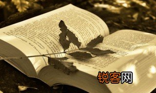 壮哉是什么意思 壮哉解释