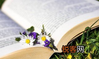 有心什么意思 有心解释
