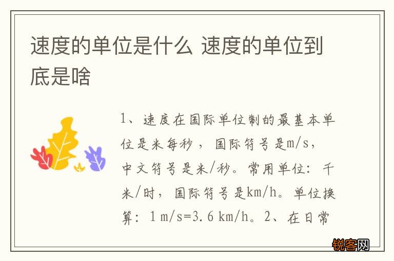 速度的单位是什么 速度的单位到底是啥