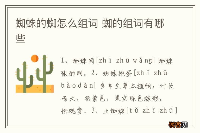 蜘蛛的蜘怎么组词 蜘的组词有哪些
