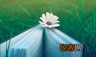 淡组词 淡怎么组词