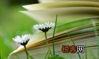 互相的互怎么组词 互的组词有哪些