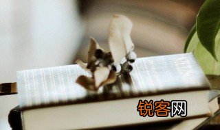 缩怎么组词 缩的组词有哪些