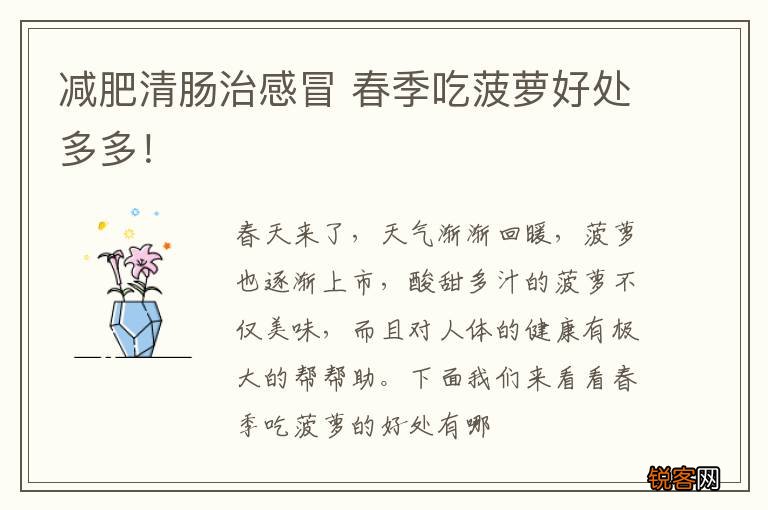 减肥清肠治感冒 春季吃菠萝好处多多！