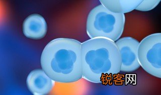 细胞膜的功能特点是什么 细胞膜的功能特点有什么