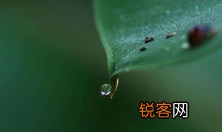 水的第四种形态含义是什么 水的第四种形态介绍
