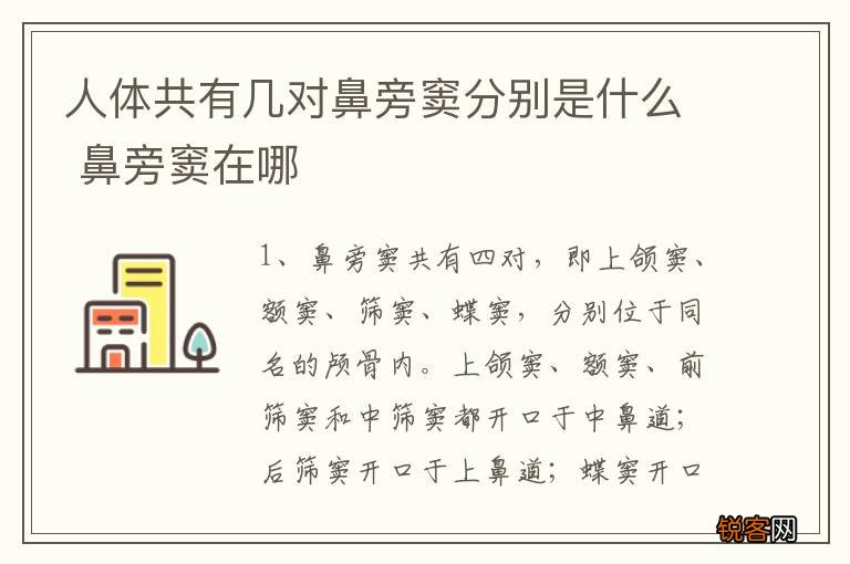 人体共有几对鼻旁窦分别是什么 鼻旁窦在哪