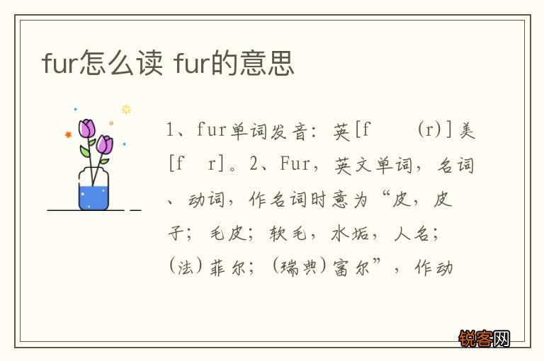 fur怎么读 fur的意思