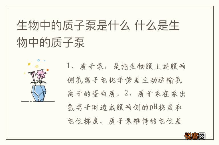 生物中的质子泵是什么 什么是生物中的质子泵