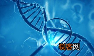 生物中的质子泵是什么 什么是生物中的质子泵