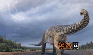 世界上最大的恐龙是什么 世界上最大的恐龙介绍