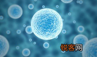 免疫的三个重要功能是什么 免疫的三个重要功能介绍