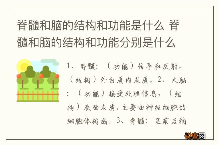 脊髓和脑的结构和功能是什么 脊髓和脑的结构和功能分别是什么