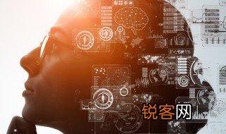 脊髓和脑的结构和功能是什么 脊髓和脑的结构和功能分别是什么