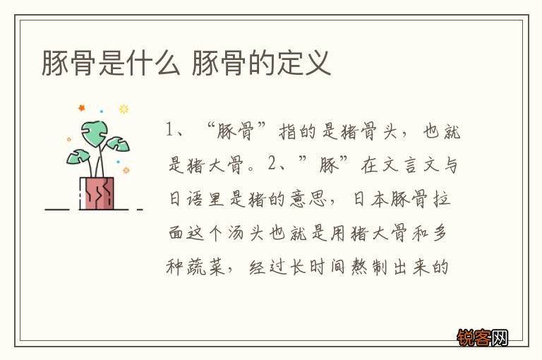 豚骨是什么 豚骨的定义