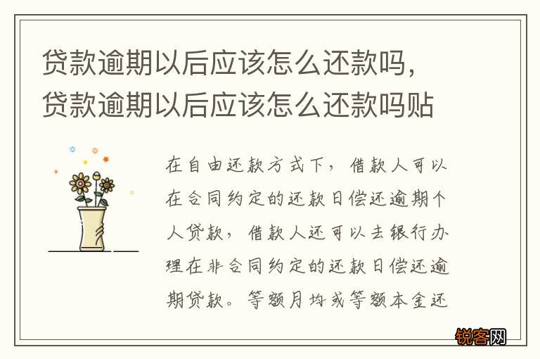 贷款逾期以后应该怎么还款吗，贷款逾期以后应该怎么还款吗贴吧